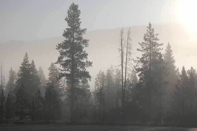 early morning at Flagg Ranch